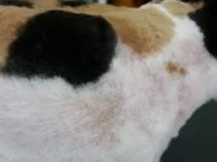 Skin Condition After Removing Mats